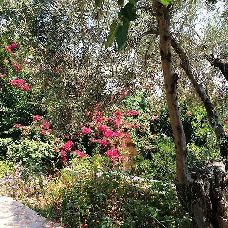 Angelica Villas Hotel Apartments Epidaurus Exterior photo