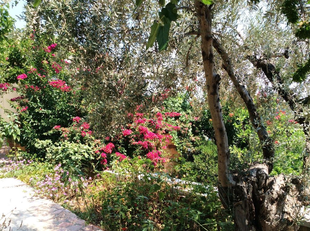 Angelica Villas Hotel Apartments Epidaurus Exterior photo