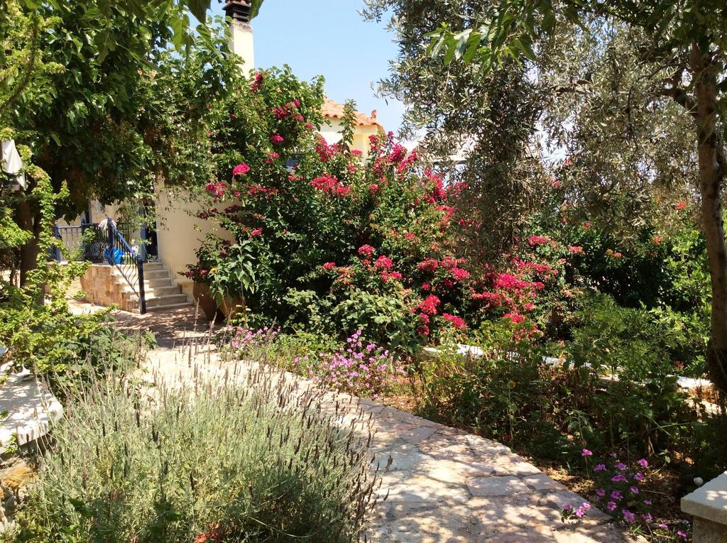 Angelica Villas Hotel Apartments Epidaurus Exterior photo